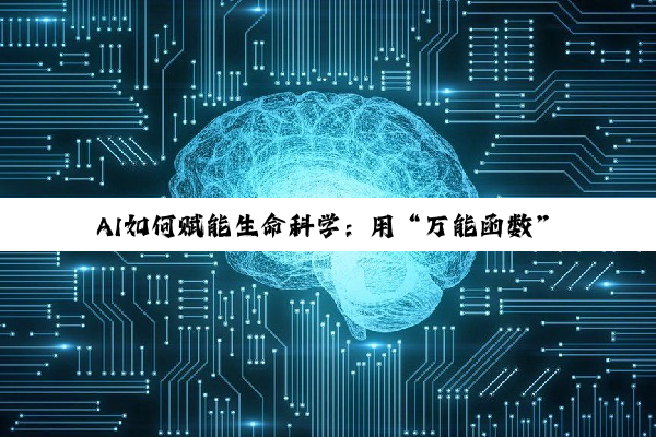 AI如何赋能生命科学：用“万能函数”表征生命