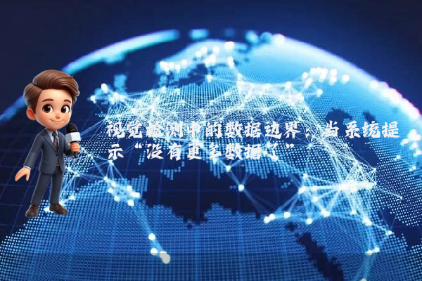 视觉检测中的数据边界：当系统提示“没有更多数据了”