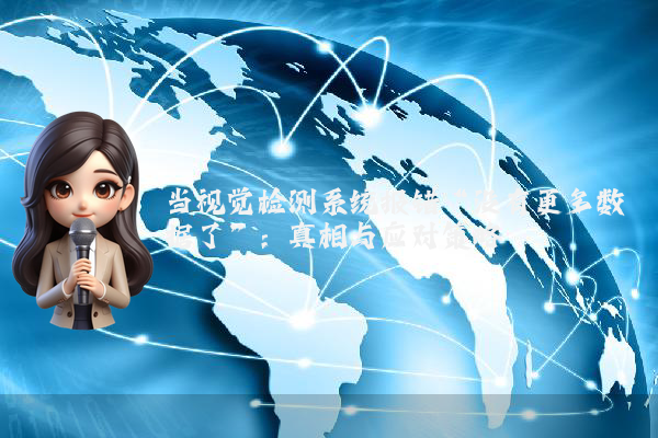 当视觉检测系统报错“没有更多数据了”：真相与应对策略